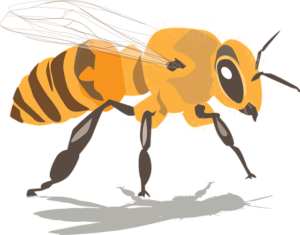 Eine Biene
